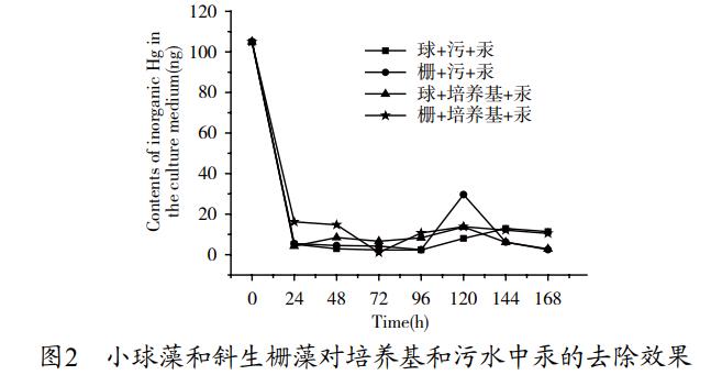 污水處理設(shè)備__全康環(huán)保QKEP