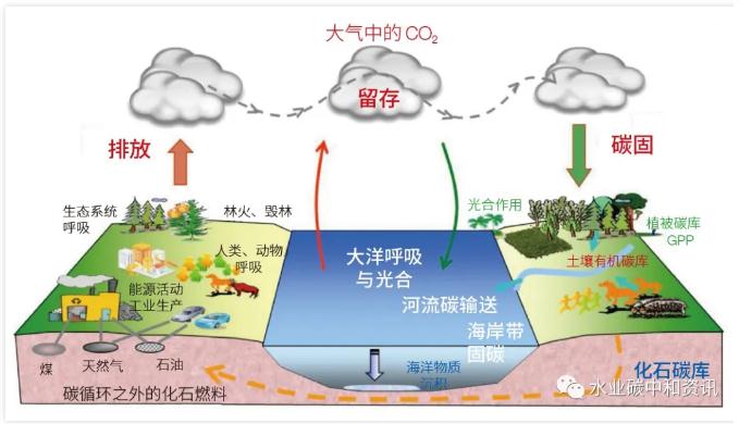 污水處理設(shè)備__全康環(huán)保QKEP