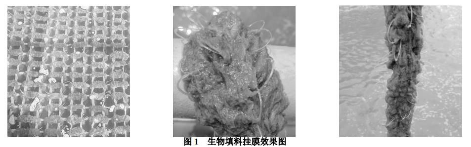 污水處理設(shè)備__全康環(huán)保QKEP