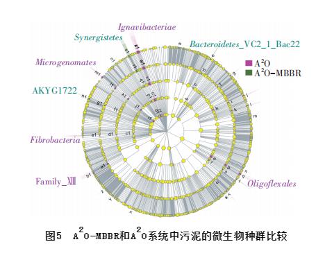 污水處理設備__全康環(huán)保QKEP