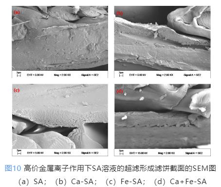 污水處理設備__全康環(huán)保QKEP