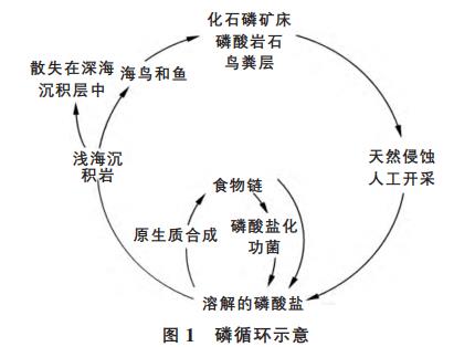 污水處理設(shè)備__全康環(huán)保QKEP