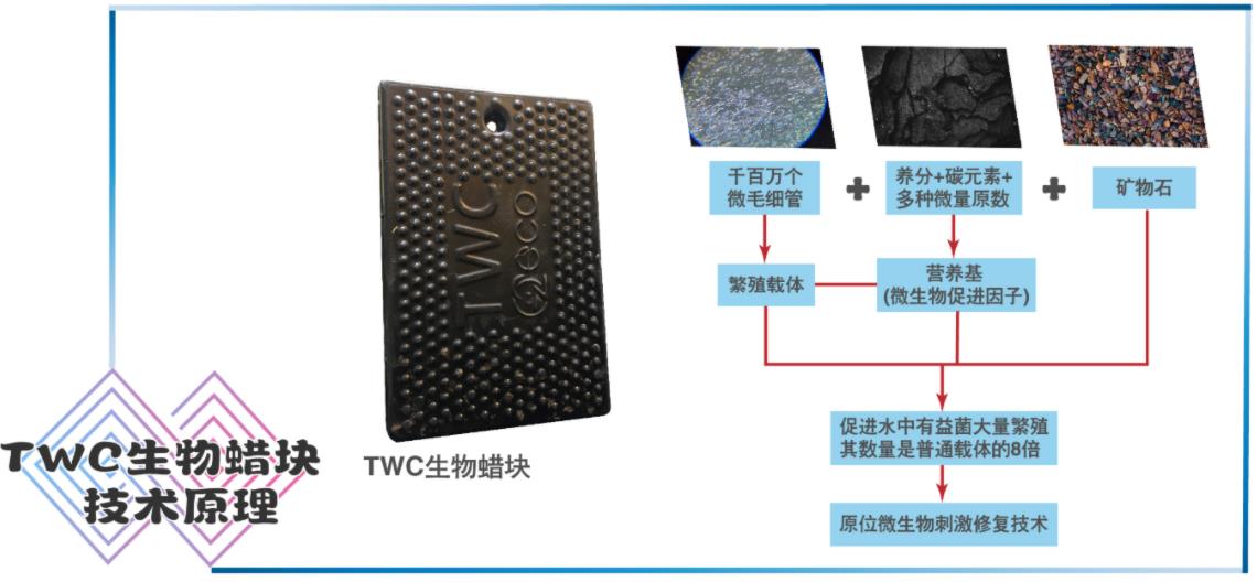 污水處理設備__全康環(huán)保QKEP