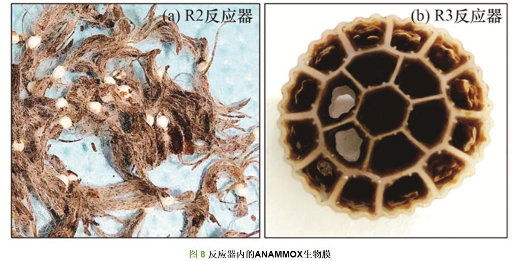 污水處理設(shè)備__全康環(huán)保QKEP